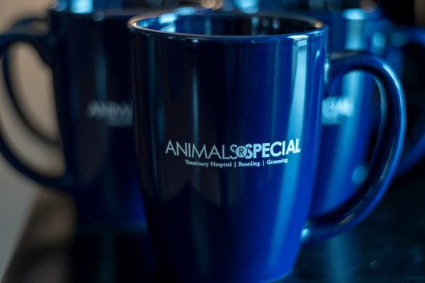 New Albany, OH Veterinarian - Animals R Special Veterinary Hospital