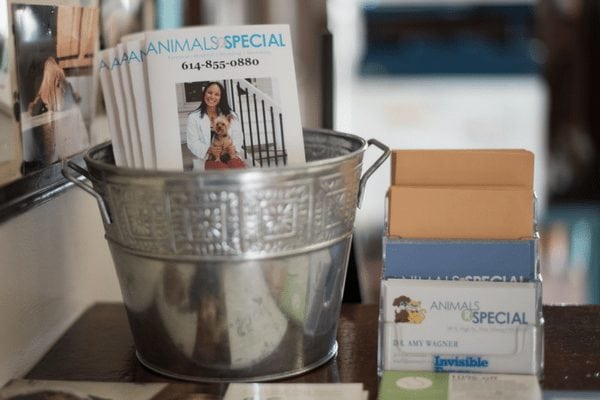 New Albany, OH 43054 Veterinarian | Animals R Special