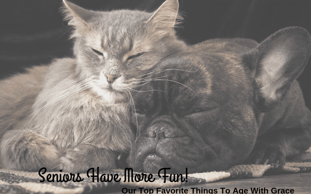 Seniors Have More Fun! Our Top Favorite Things To Help Your Pet Age With Grace