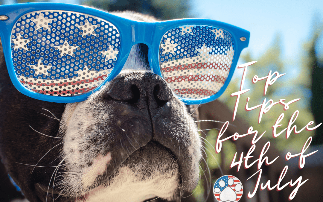 Our Top Tips for The 4th of July
